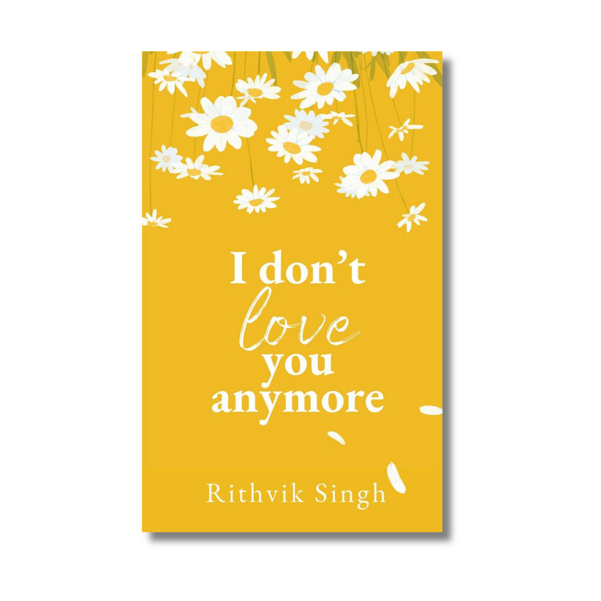 I Don't Love You Anymore by Rithvik Singh